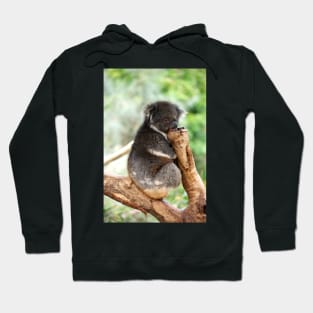 Koala Nap Time Hoodie